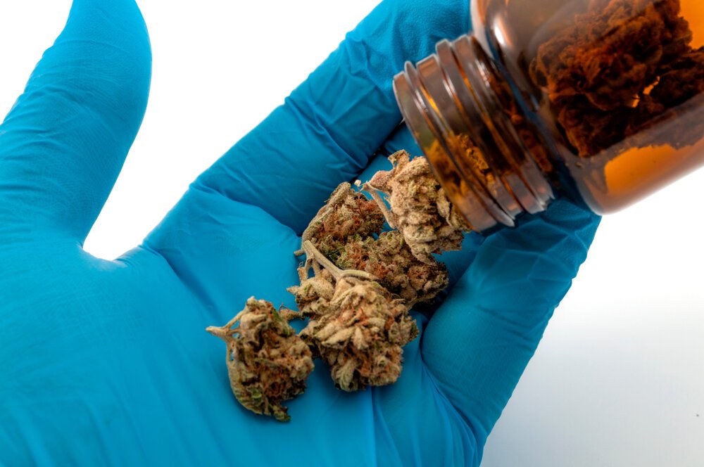 Cannabis for Pain Management. Scientific Research Of Medical Use Of Cannabinol Medicinal Applications.