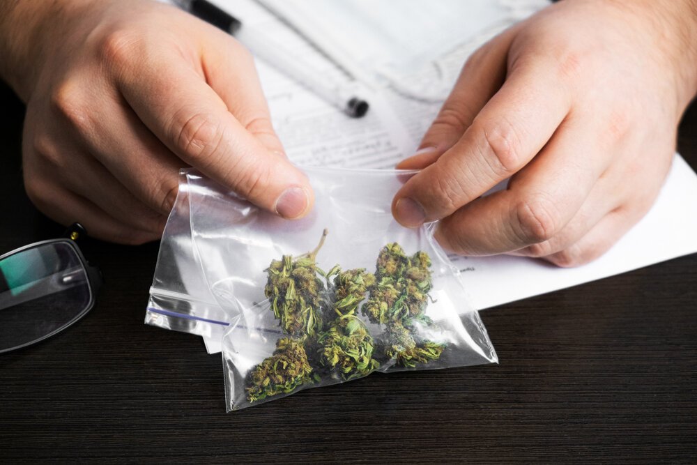 Cannabis in the Workplace. Man Holding Plastic Bag With Cannabis Buds Sitting At His desk.