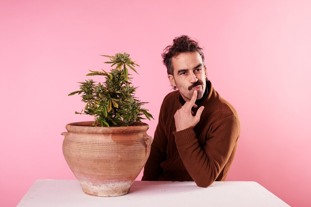 Cannabis and Creativity. divergent thinking. Man next to plant thinking.