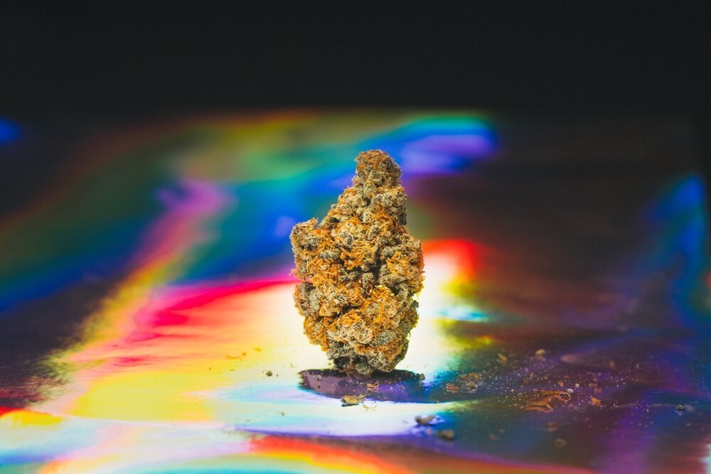 Cannabis and Creativity. Image of cannabis flower with creative colors.