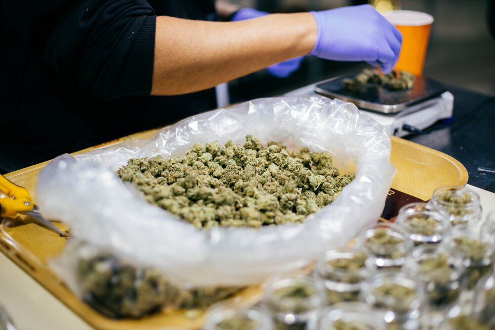 Premium Cannabis. Cannabis,Packaging,Legal,Marijuana,Manufacturing,California,Weed,Distribution