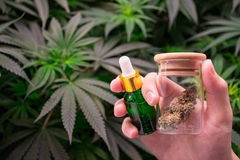 Cannabis mind body connection. Scientist's,Hand,Holding,Green,Dropper,Bottle,And,Laboratory,Glass,Jar