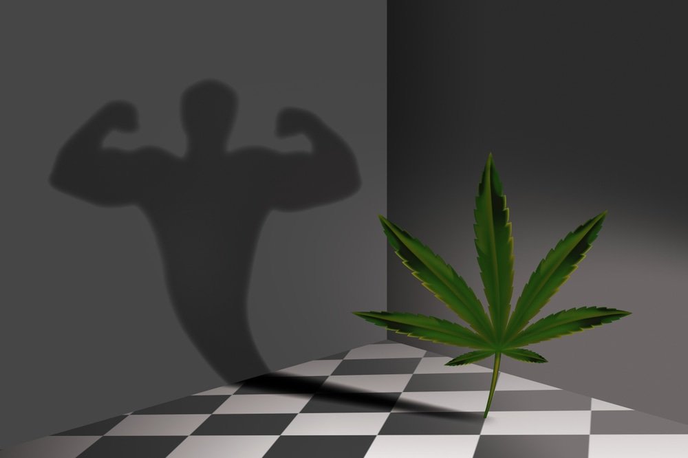 Cannabis for Fitness. The concept of using cannabis in the sport. Cannabis leaf and muscular man silhouette.