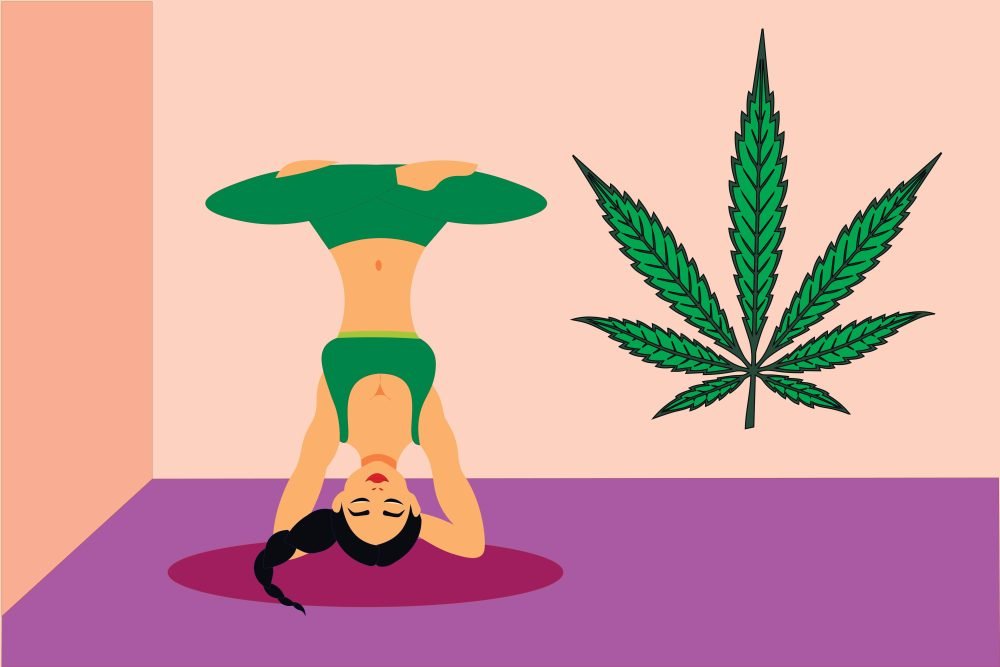 Cannabis for Fitness. cannabis and girl, women practicing yoga at home, meditation symbol vector, cbd oil for health concept with cannabis leaf on the wall.