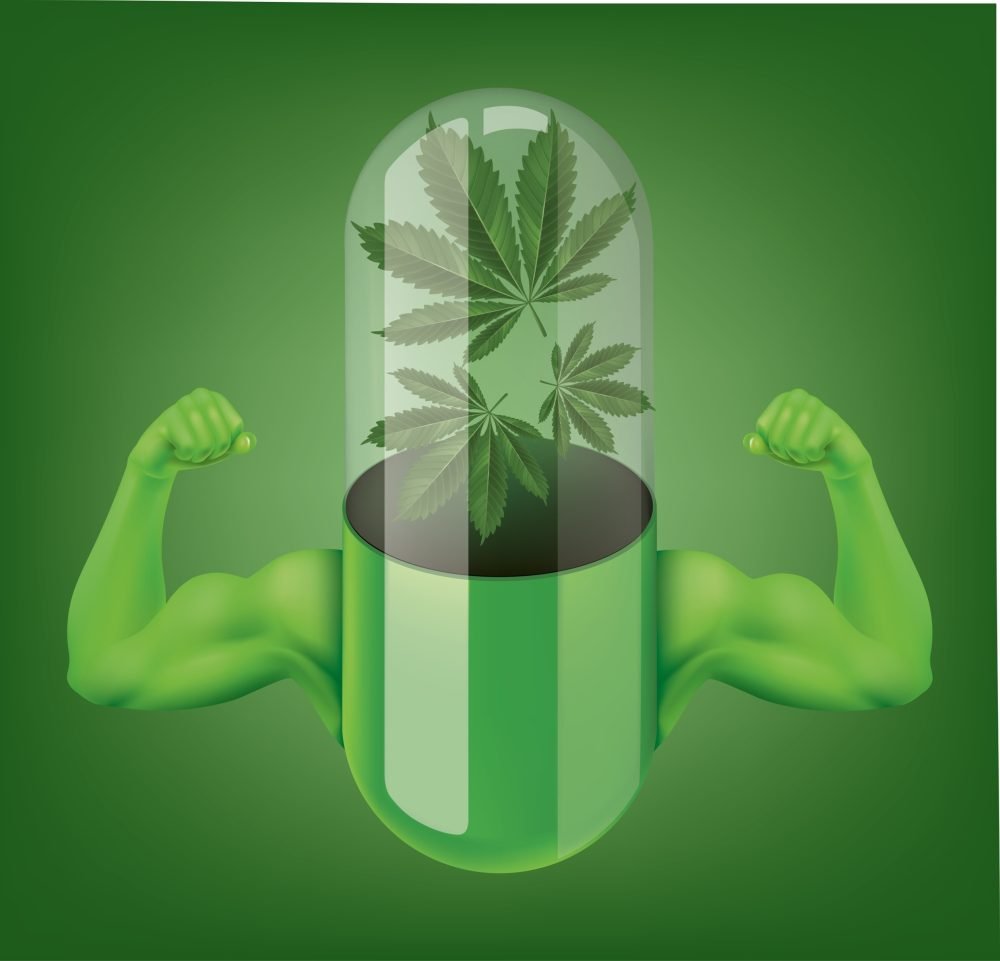 Cannabis for Fitness. Capsule pills containing cannabis leaves ingested and strengthened arm muscles. illustration vector.