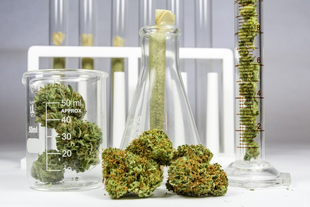 Lab Testing in the Cannabis. Science, Safety, Research, Technology and Cannabis - The Increasingly Legal, Medical and Recreational Use of Marijuana.